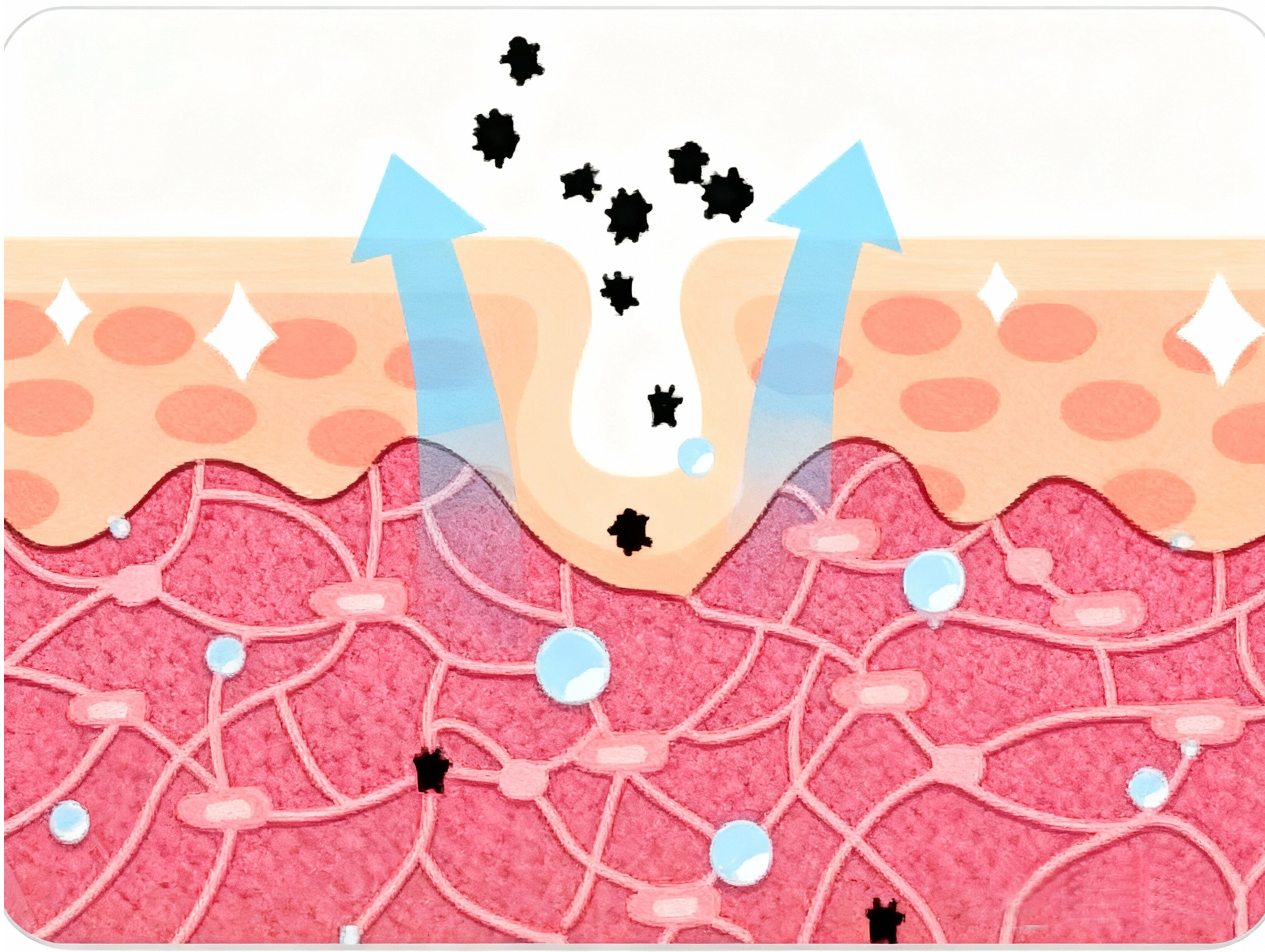 HONY D001 Antioxidant Edition : Anti-âge scientifique, reconstruit la défense de la peau